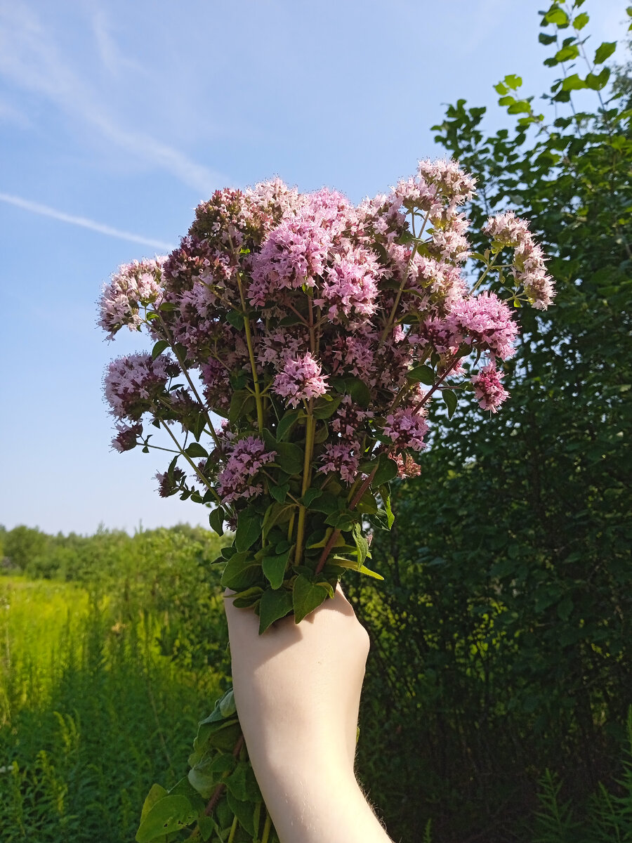 Фото автора.