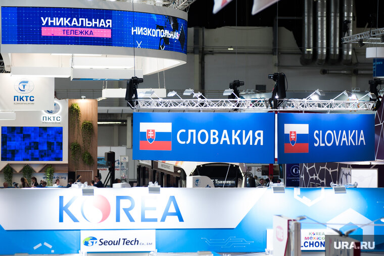    Словаки стали чаще поддерживают РФ в СВО