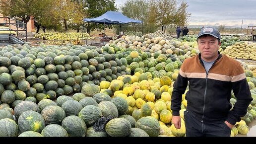 Знаменитые Узбекские Цыплята Тапака! Янгиюль!Узбекистан!