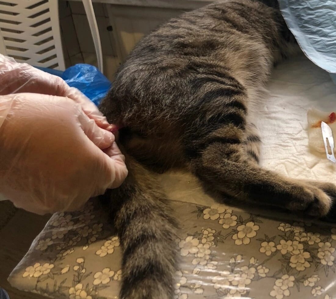 Процесс работы