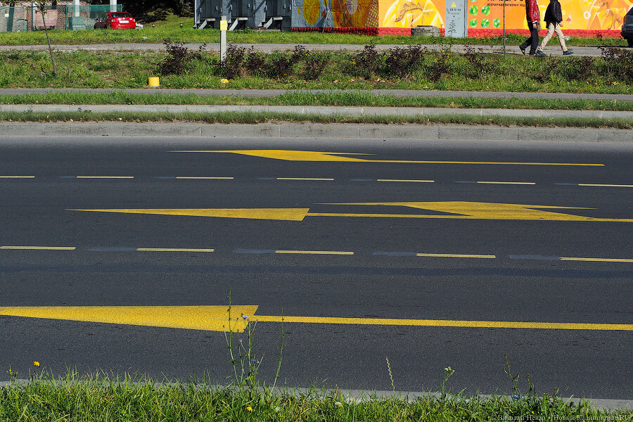 Фото: Виталий Невар / Новый Калининград