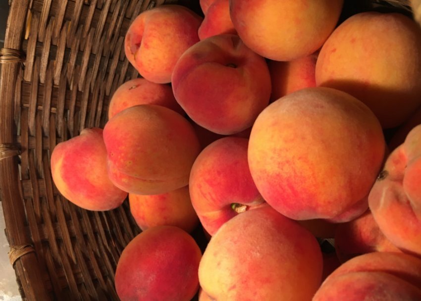 фото из открытого доступного источника сети интернет