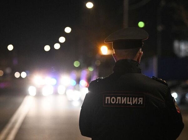   © РИА Новости Павел Бедняков
