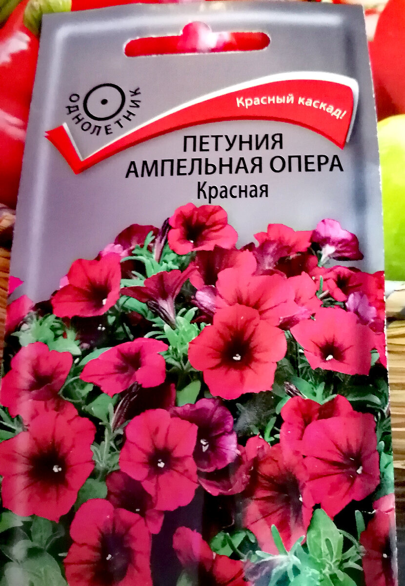 Петуния ампельная Опера красная.