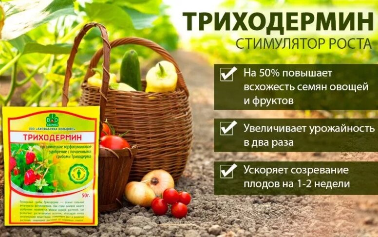 Майл. Картинки