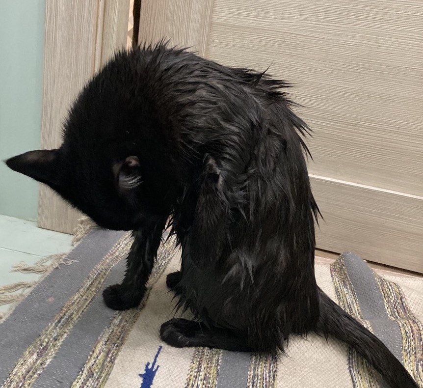 (фото автора)