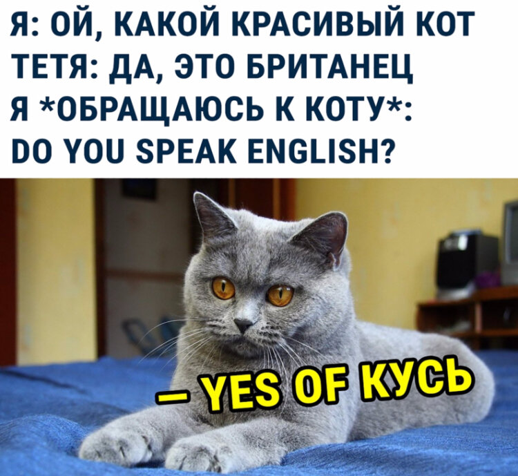 Good morning my bears 🐻 