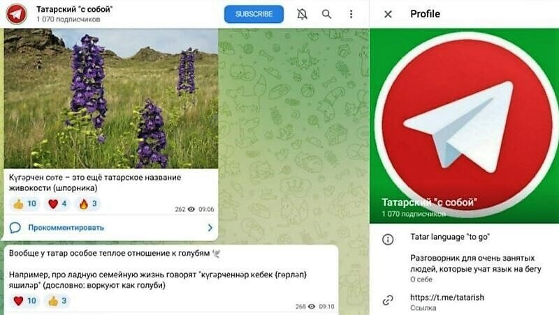 Телеграм татаркой. Татарский язык для телеграмма. Telegram канал. Сайт и телеграм-канал для изучения татарского языка «татарча сөйләш».. Telegram.