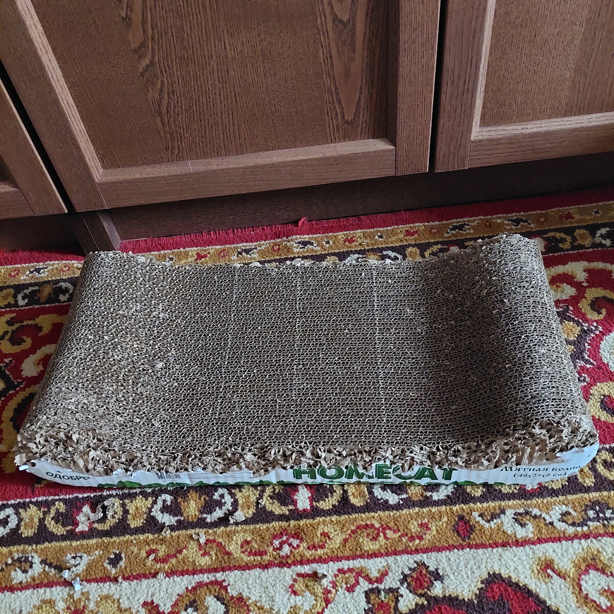 Фото из личного архива.