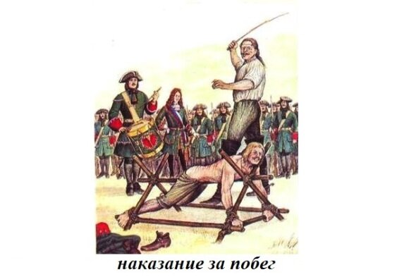 «Ментальное государство» Петра I: бюрократия, унификация, налогообложение