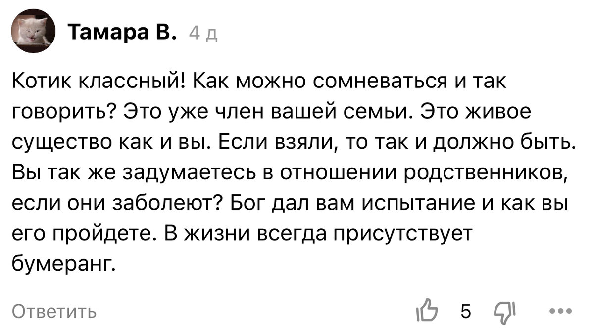 КАК МОЖНО ТАКОЕ ГОВОРИТЬ? ОН ЖИ ЧЛЕН СЕМЬИ! | Мама караул | Дзен