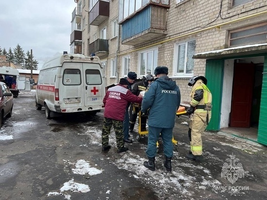     Фото ГУ МЧС России по Курской области