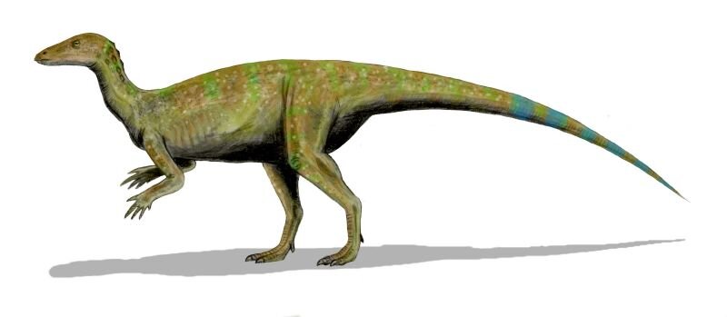     Художественная реконструкция тесцелозвра (Thescelosaurus neglectus) — родственника невададромея Nobu Tamura / Wikimedia Commons / CC BY 2.5