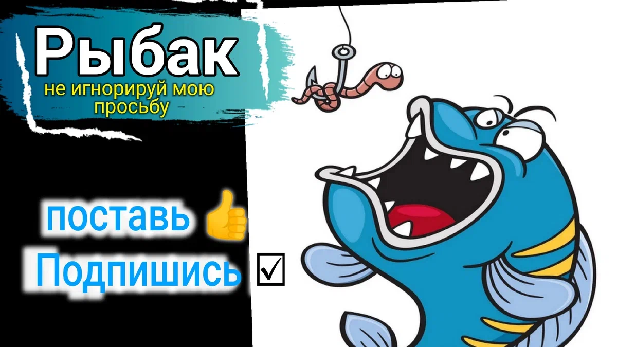 Секреты и лайфхаки опытных рыбаков. Щука, карась, плотва и ёрш в ноябре |  Fish and hook | Дзен