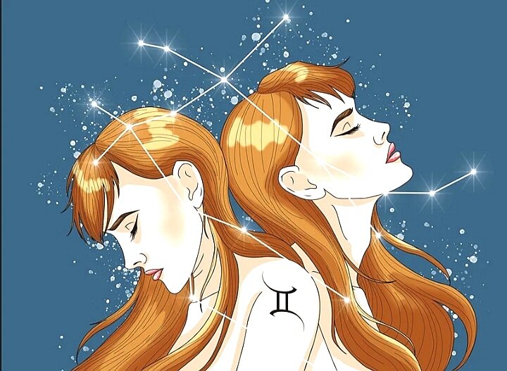 Близнецы  в планах на будущее... 