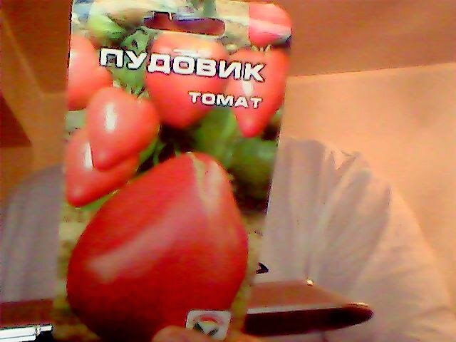 Начинаю покупать семена на следующий сезон