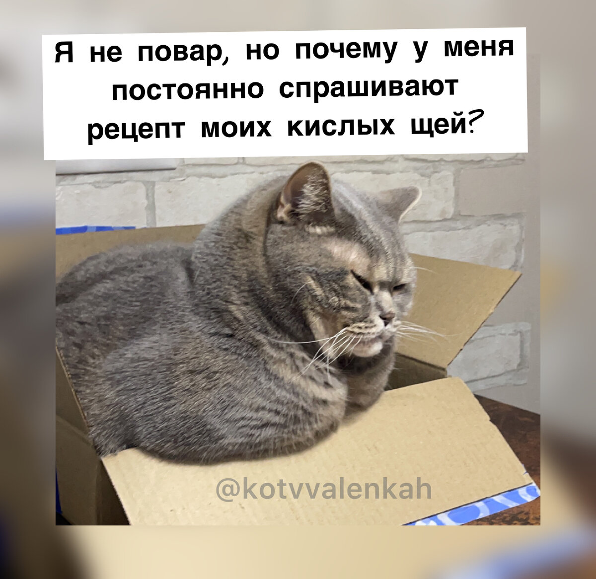 Начало зимы..Мемы тепла 😻 | Кот в валенках Марсель | Дзен