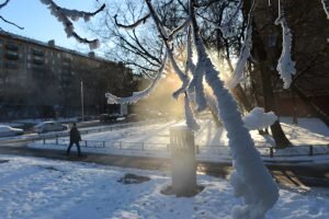     фото: newsae.ru Лаура Акопян