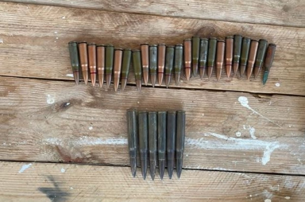    Силовики задержали жителя Кубани с незаконной коллекцией оружия