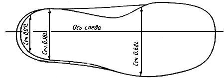 Длина и ширина колодки
