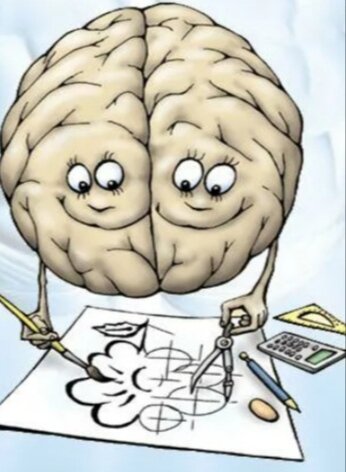 Наш мозг во всей красе)