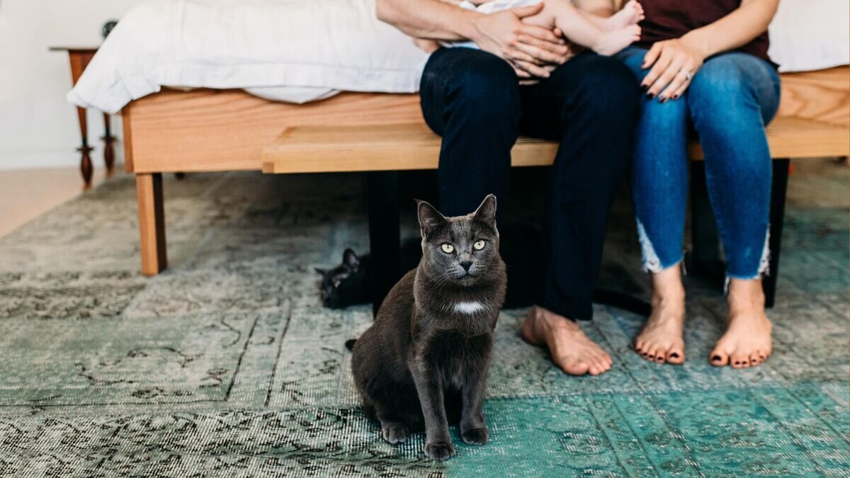    Семья© Фото : Unsplash / Jessica Rockowitz