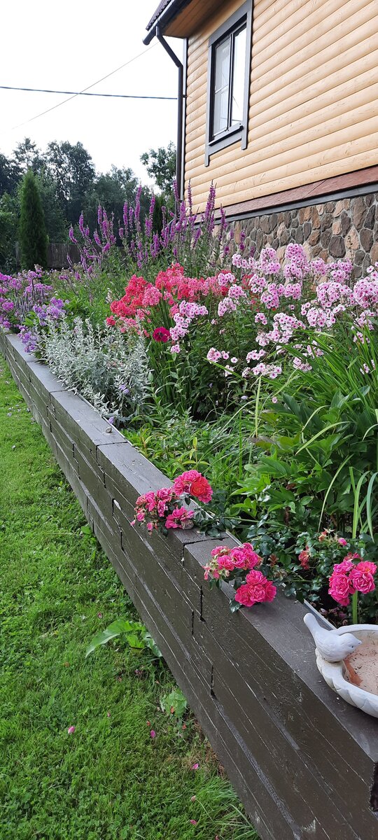 1. Цветник с флоксами. Собенина Ирина