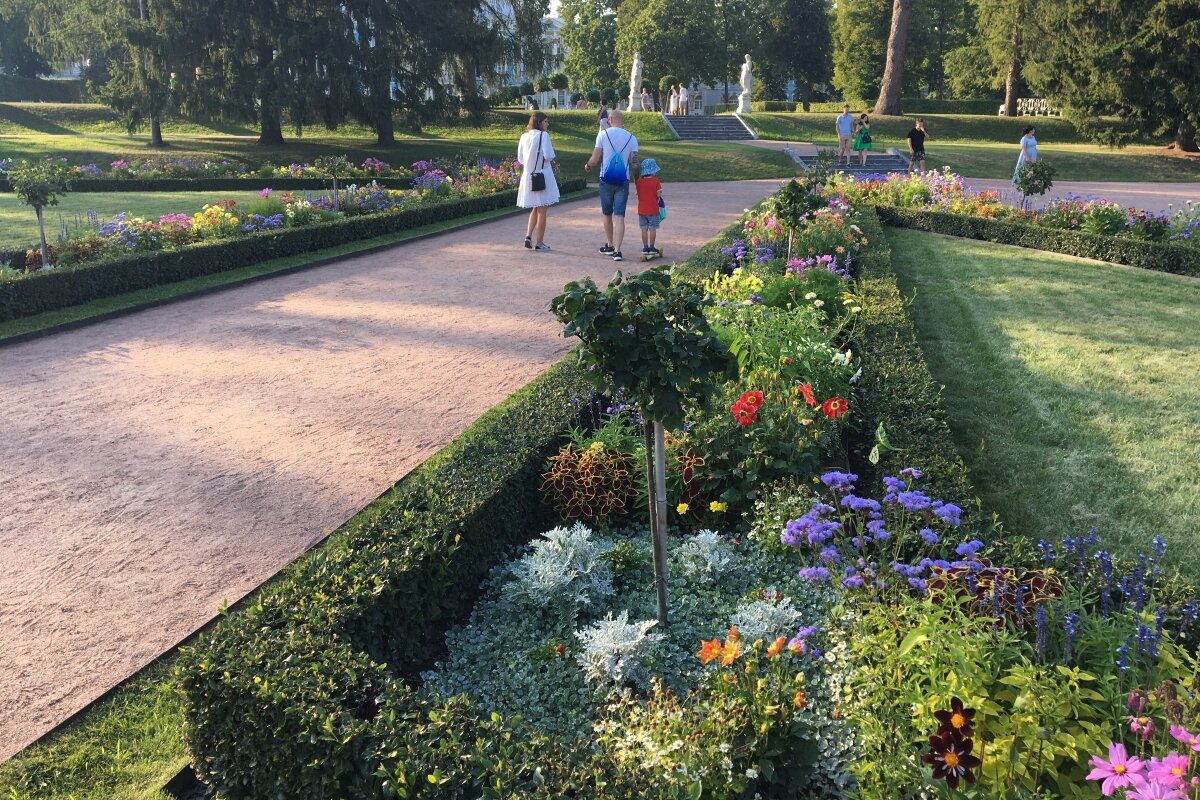    Количество зеленых насаждений – главный фактор, определяющий экологию городов