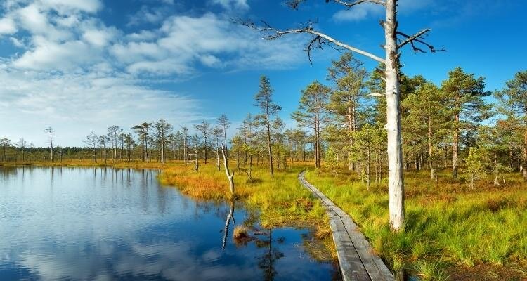 Лахемаа – крупнейший национальный парк в Эстонии. Настоящее культурное, национальное и историческое наследие. Название парка в переводе означает  — «земля заливов».
