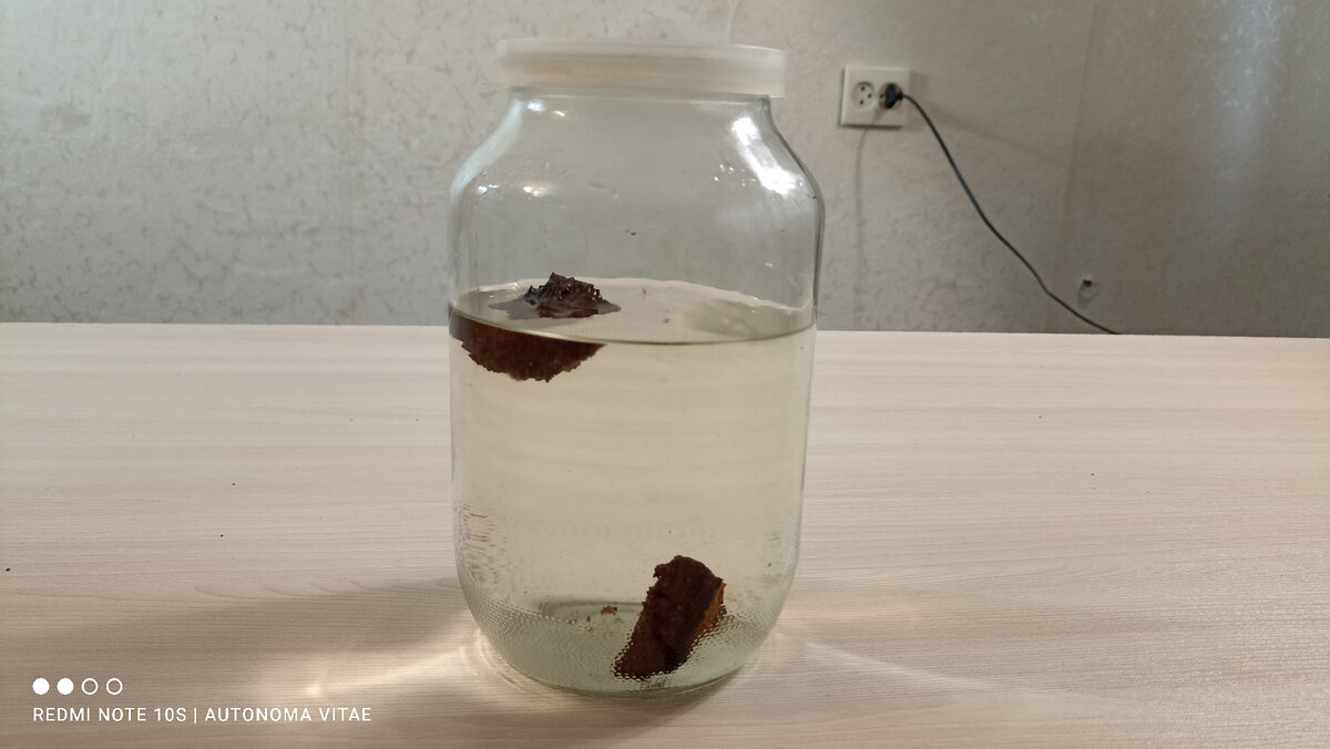 Настойка из самогона на березовой чаге. Неповторимый вкус | Автономная ...