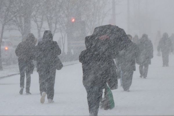    Фото с сайта ГУ МЧС по Рязанской области