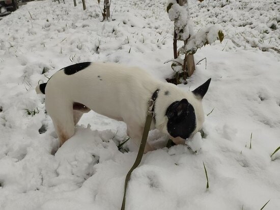     Елена Балуева / МК в Новосибирске