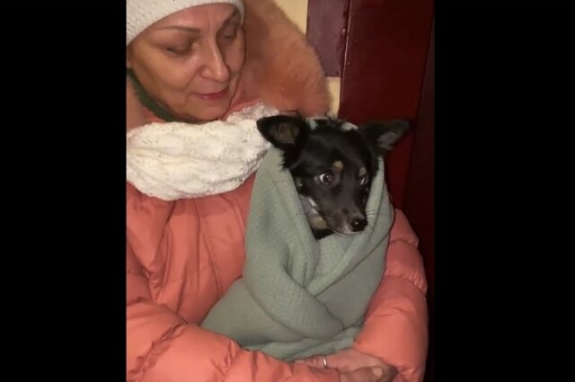    Фото: Из архива/ Ветклиника Доктор Ай и Ой