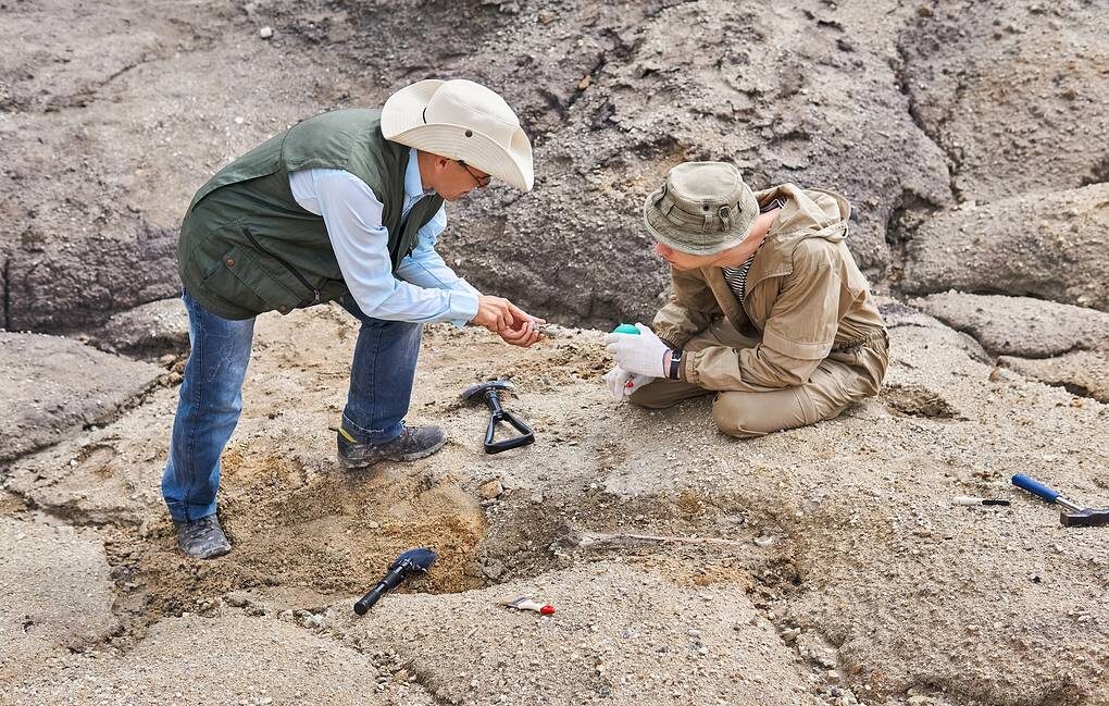 © Evgeny Haritonov/Shutterstock/FOTODOM 