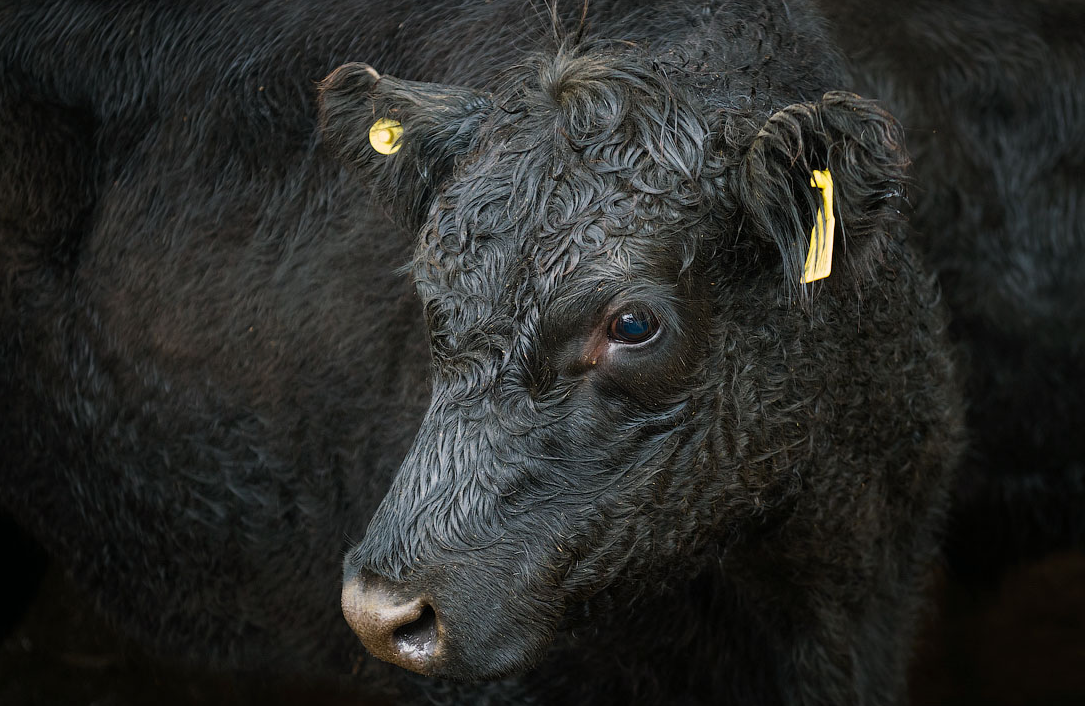 Фото: Ilya Varlamov / zyalt.lifejournal.com