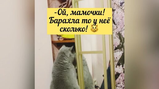 Сеня помочь хотел и чуть без шубы не остался 😿 Неблагодарная 🙄