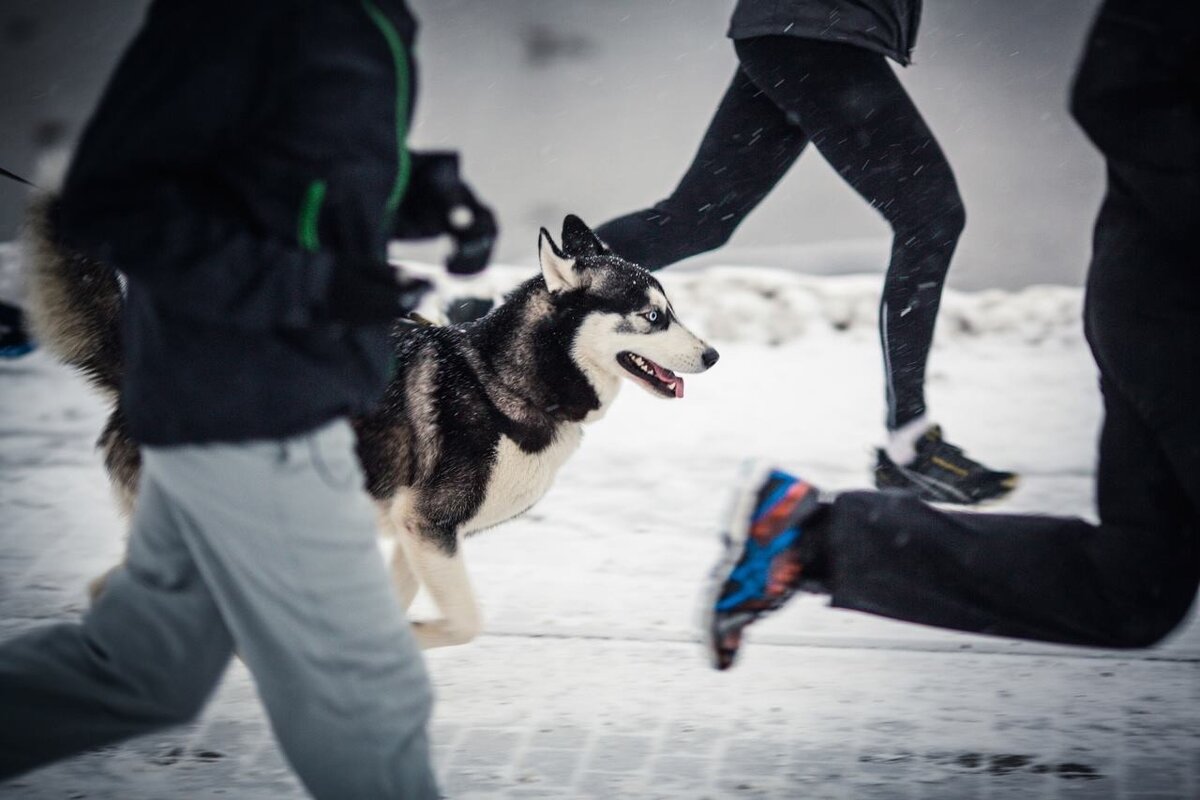 Фото Сергея Зайцева, Коломенское, Москва
