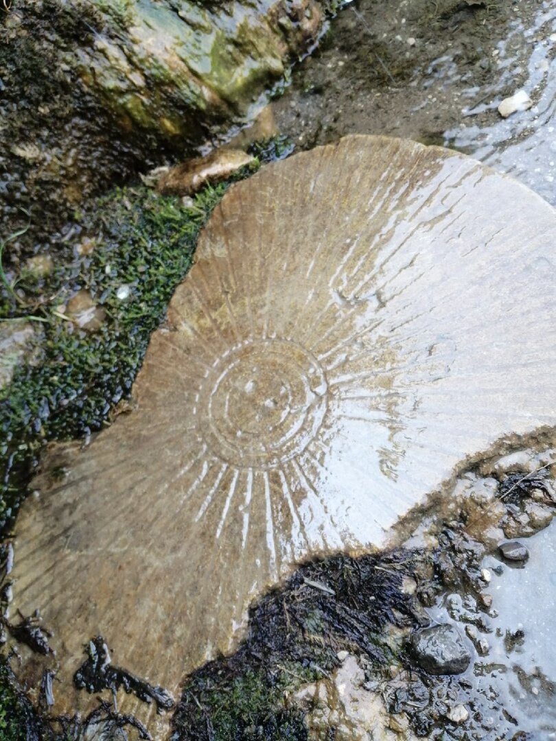 Этот осколок как бы сердолика уже известен множеству читателей Википедии, а благодаря копирайтерам, ещё и большему их количеству. Но сейчас он определяется как кварц, подвергнувшийся воздействию огнём.-52