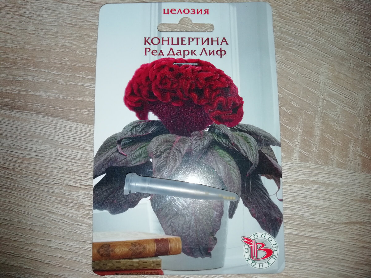 Фото из личного архива автора канала. 