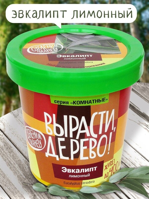 Эвкалипт лимонный