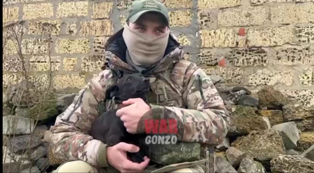    Фото: скриншот видео / Telegram-канал WarGonzo Ирина Мудрых