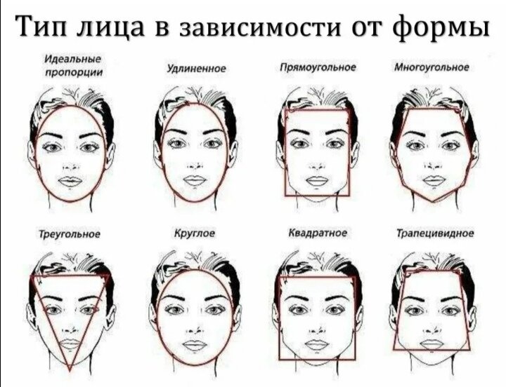 В мире животных: какой у тебя тип лица по корейской системе — кошка, собака, лиса или зайчик?