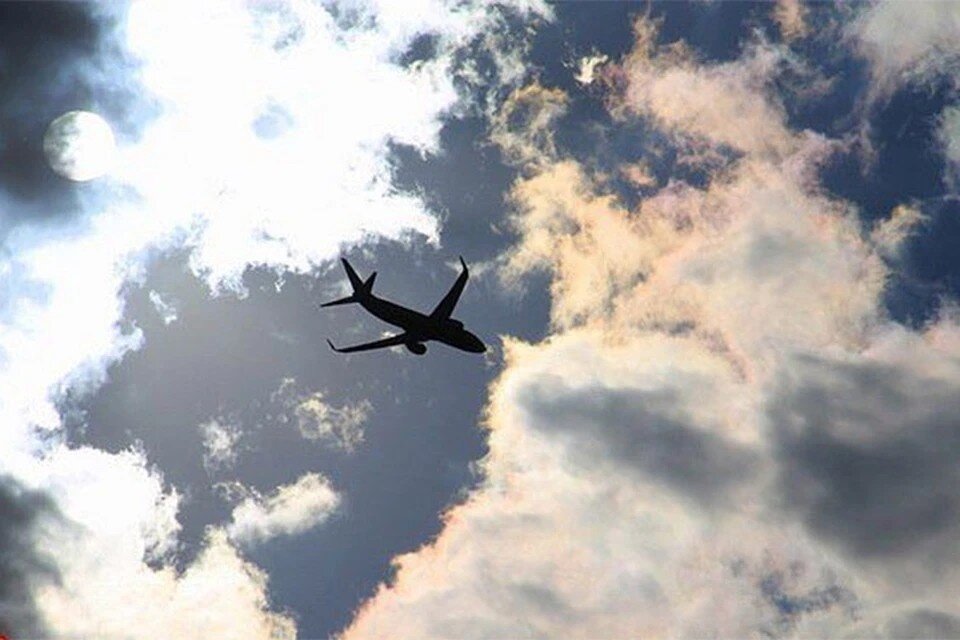     Из-за снегопадов в аэропортах Москвы 20 рейсов задержали и 17 отменили Виктория МИНАЕВА