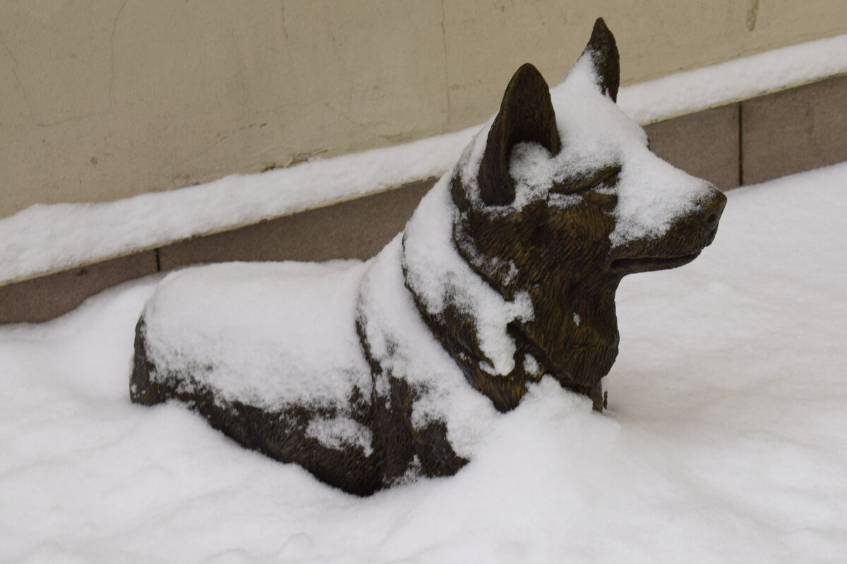 Фото автора канала "Приключения Тома Сойера"