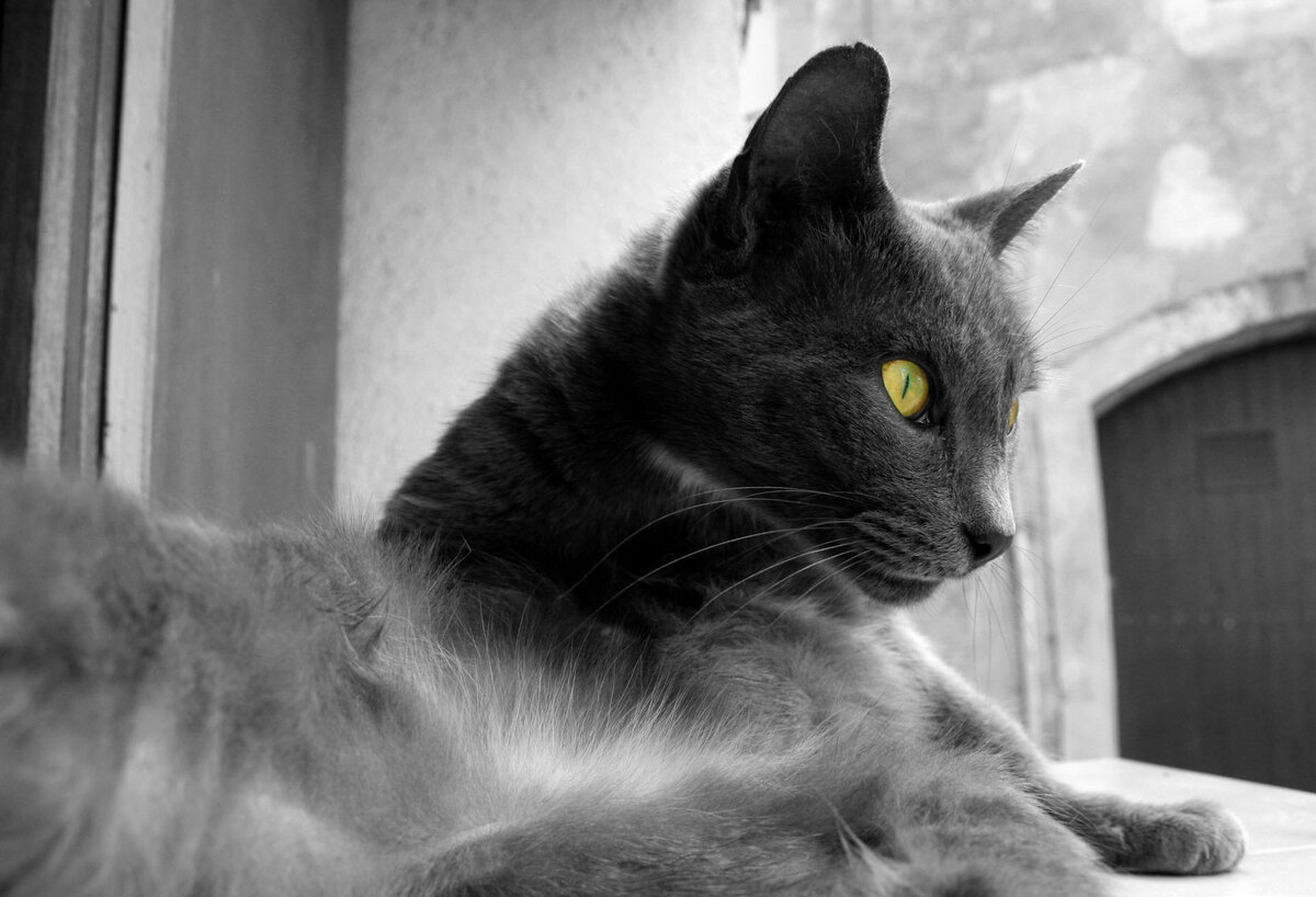 Фото из Яндекс.Картинки