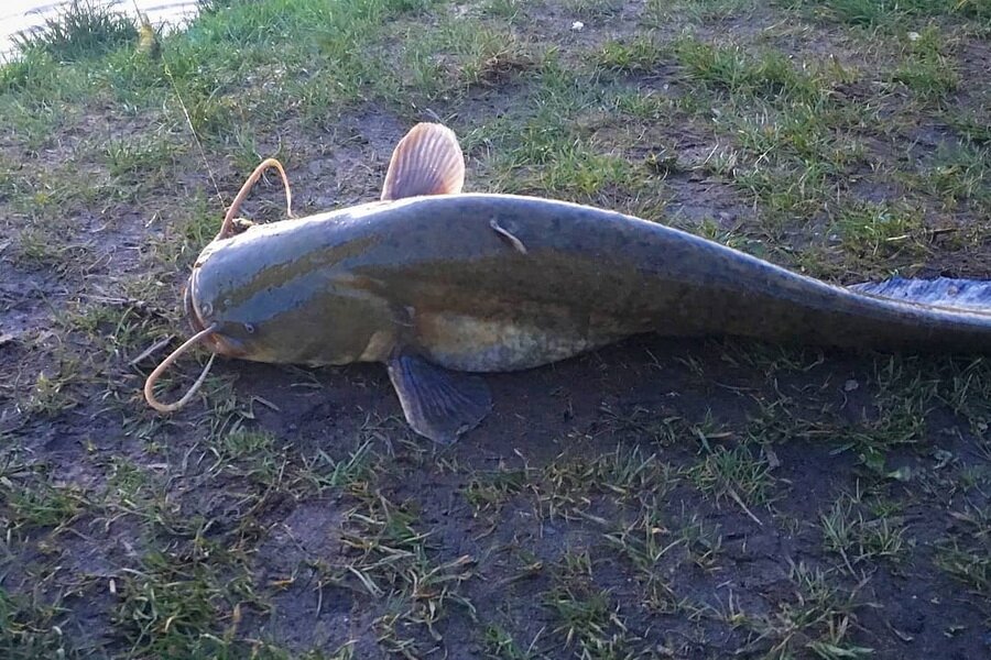 Свободный доступ.