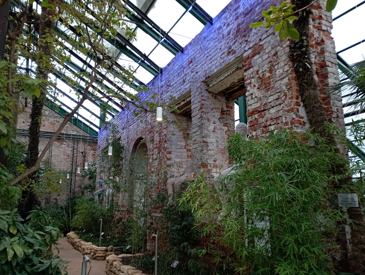 Фрагмент экспозиции Аптекарского огорода. Фото моё.