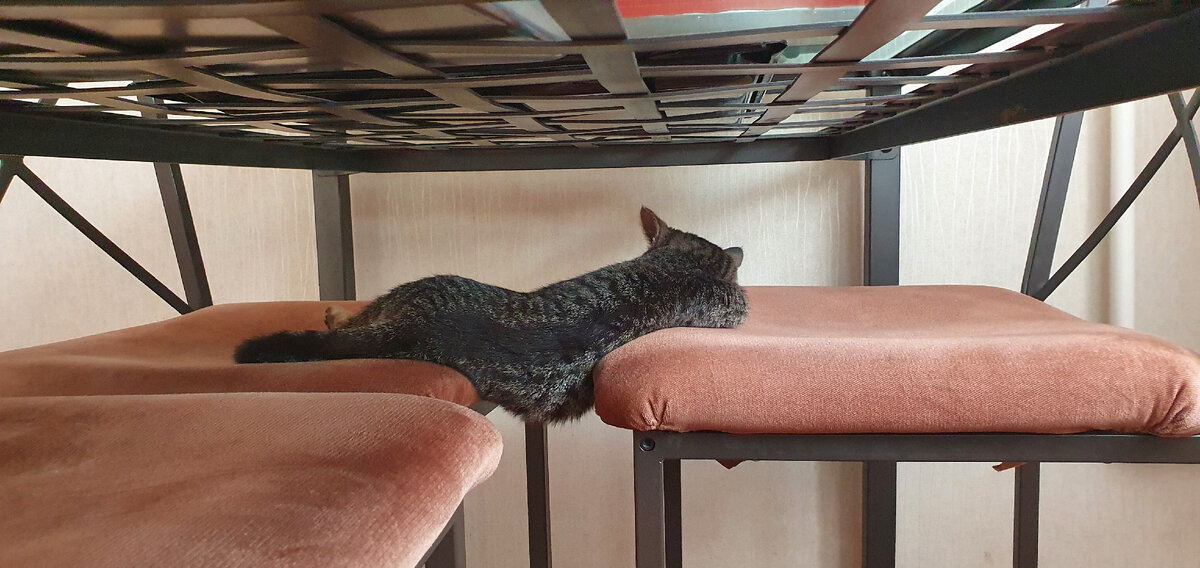 Рокси уже дома