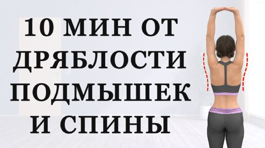 Вкладыши - стикеры от пота для подмышек. Купить по низким ценам в интернет магазине