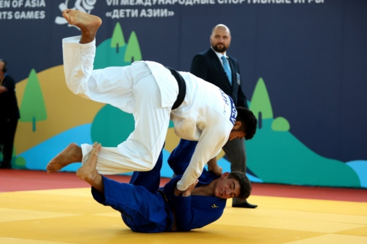    Путин учредил в России День самбо